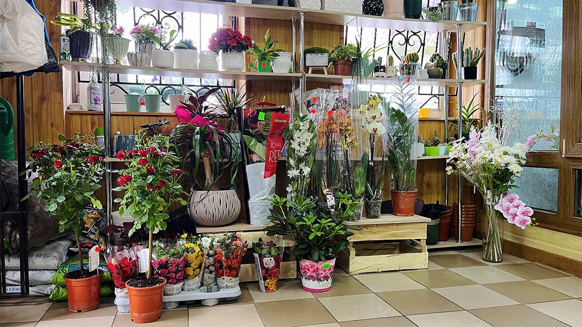 Яскраві вуличні квіти, букети для коханих і трендові вазони у квітковій крамниці "Пташка" 7