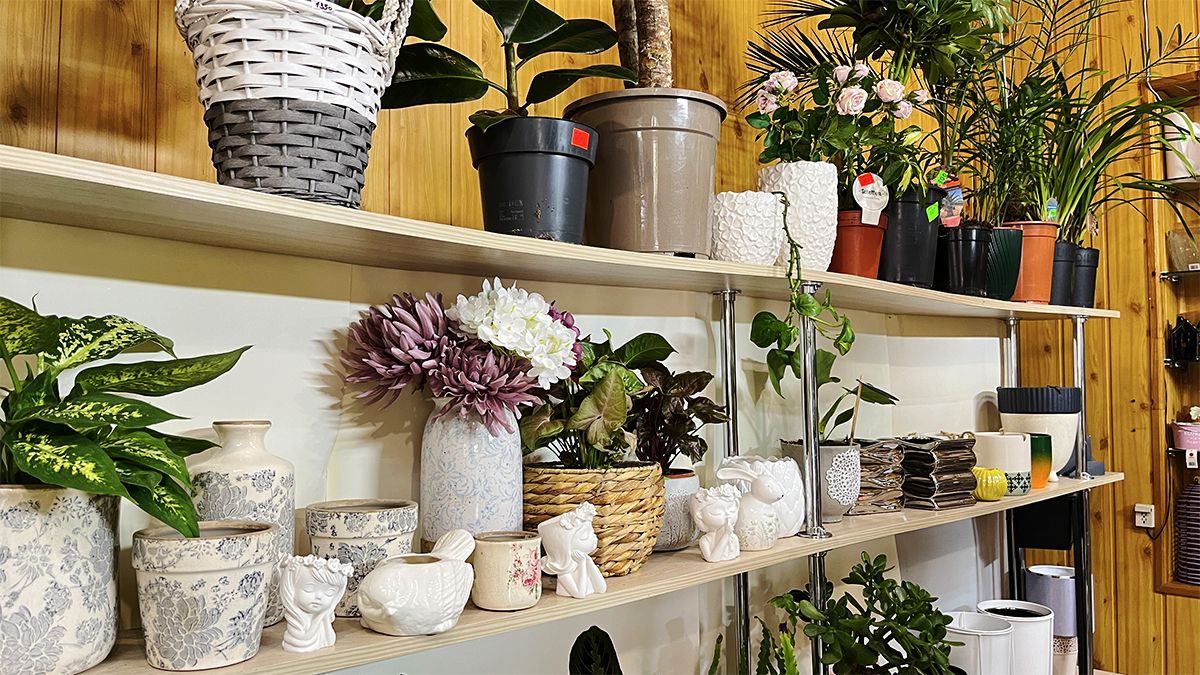 Яскраві вуличні квіти, букети для коханих і трендові вазони у квітковій крамниці "Пташка" 10