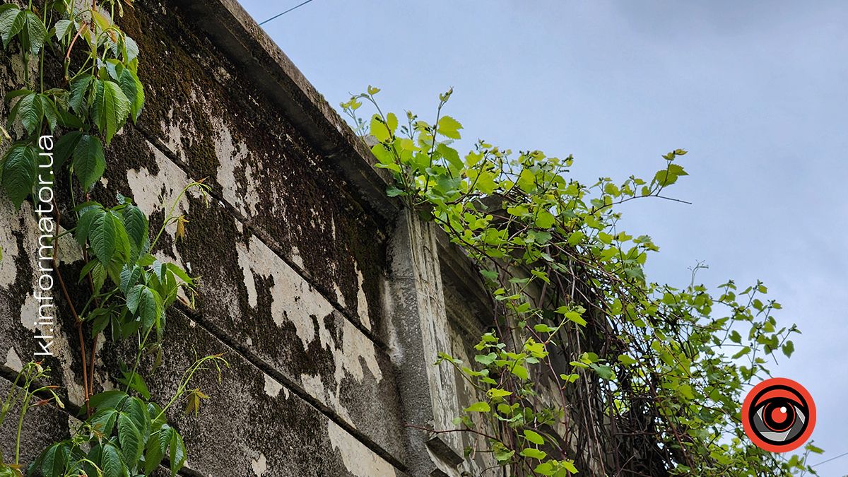 Коломийські галі: що то і яку історію приховують 6