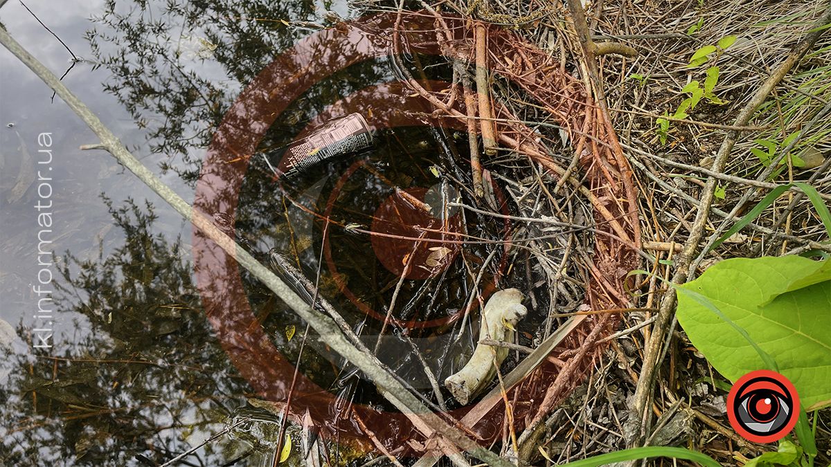 Димедрол, бляшанки й пакети: як нині виглядає озеро в мікрорайоні Січових-Стрільців та Петлюри 9