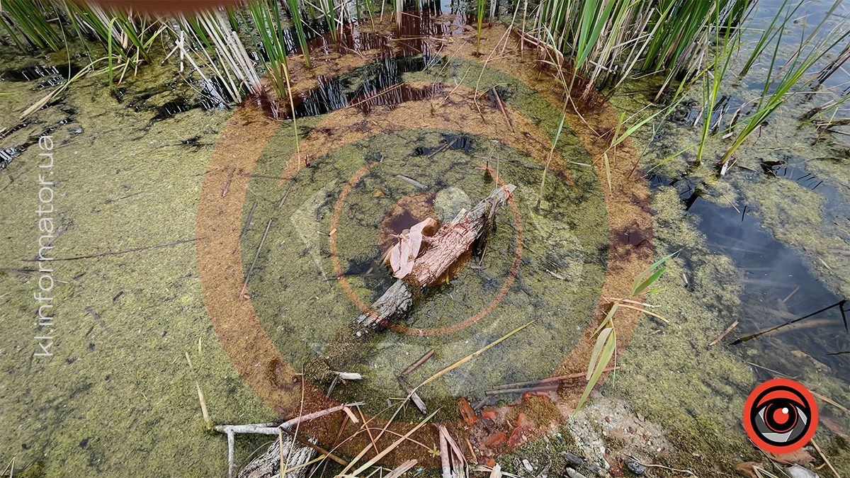 Димедрол, бляшанки й пакети: як нині виглядає озеро в мікрорайоні Січових-Стрільців та Петлюри 2