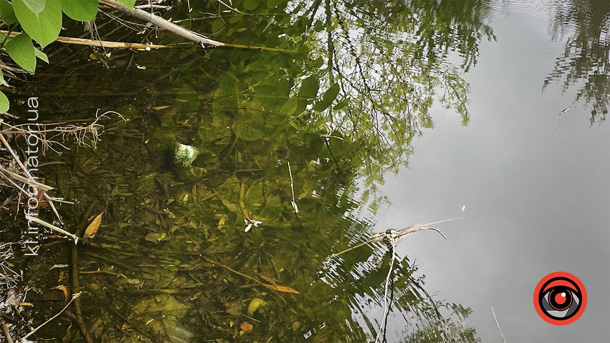 Димедрол, бляшанки й пакети: як нині виглядає озеро в мікрорайоні Січових-Стрільців та Петлюри 14