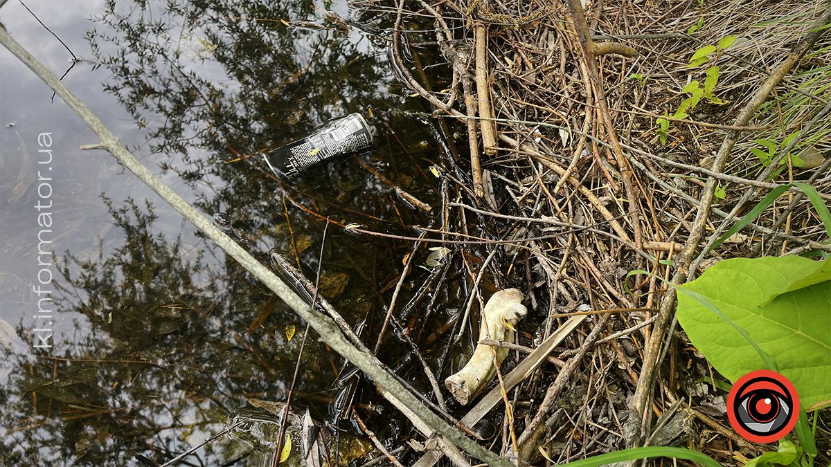 Димедрол, бляшанки й пакети: як нині виглядає озеро в мікрорайоні Січових-Стрільців та Петлюри 15