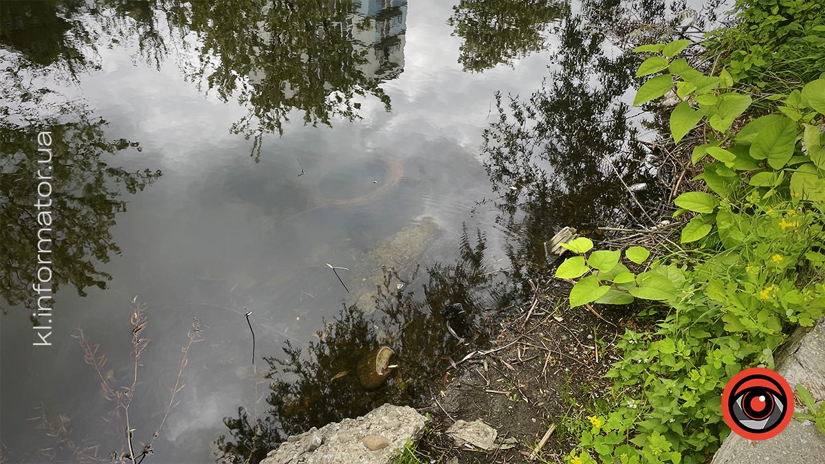 Димедрол, бляшанки й пакети: як нині виглядає озеро в мікрорайоні Січових-Стрільців та Петлюри 11