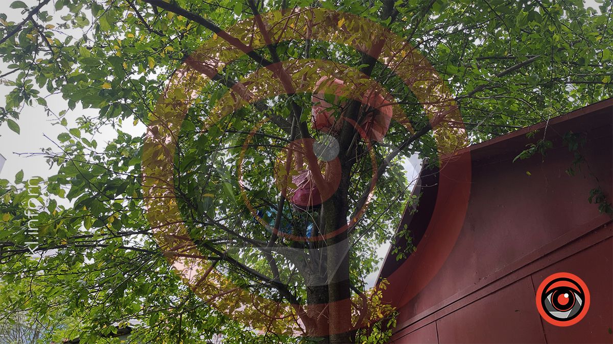 Димедрол, бляшанки й пакети: як нині виглядає озеро в мікрорайоні Січових-Стрільців та Петлюри 6