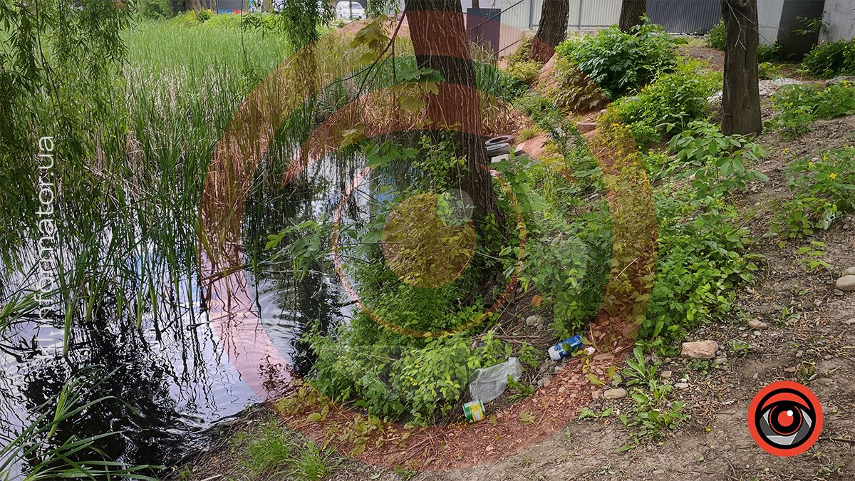 Димедрол, бляшанки й пакети: як нині виглядає озеро в мікрорайоні Січових-Стрільців та Петлюри 1