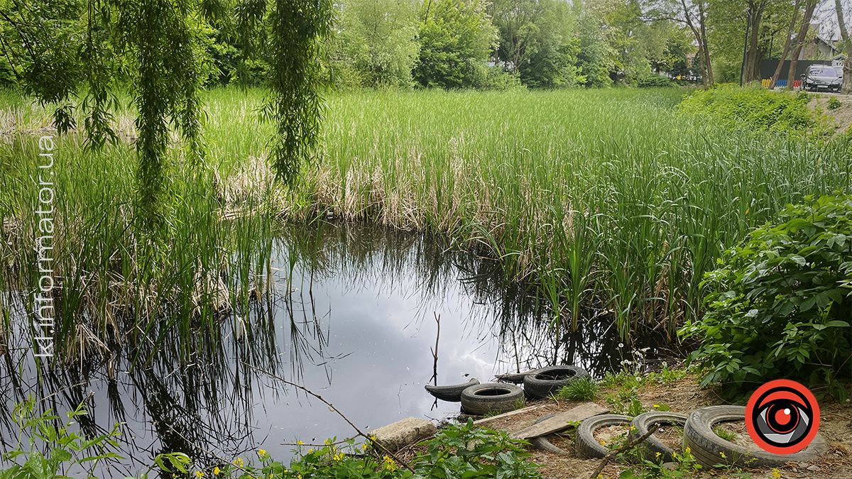 Димедрол, бляшанки й пакети: як нині виглядає озеро в мікрорайоні Січових-Стрільців та Петлюри 3