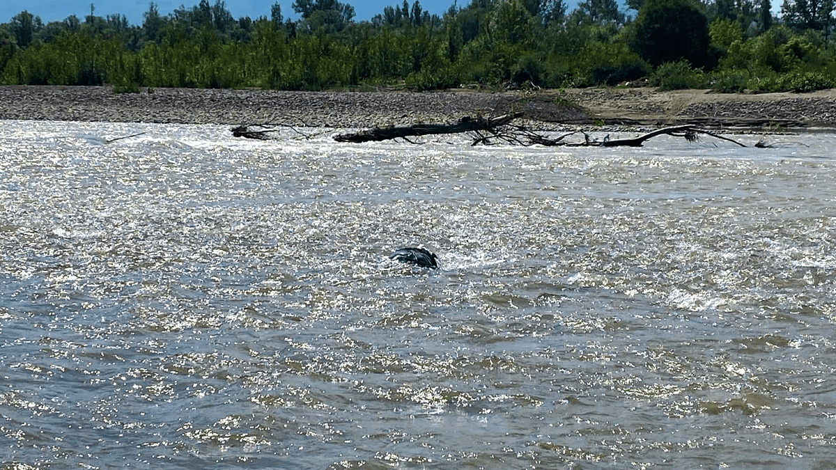 У Тисі виявили тіло 49-річного чоловіка 1