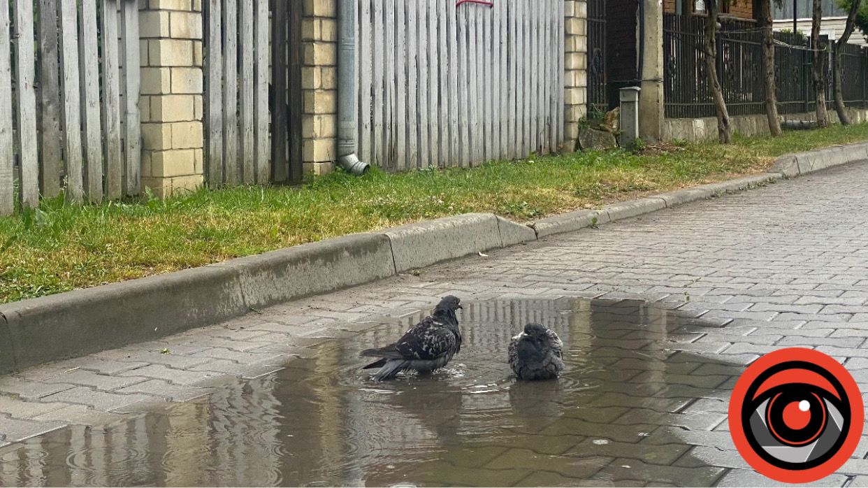 Місто у передгір'ї Карпат | Прогулянка вулицями Надвірної 3