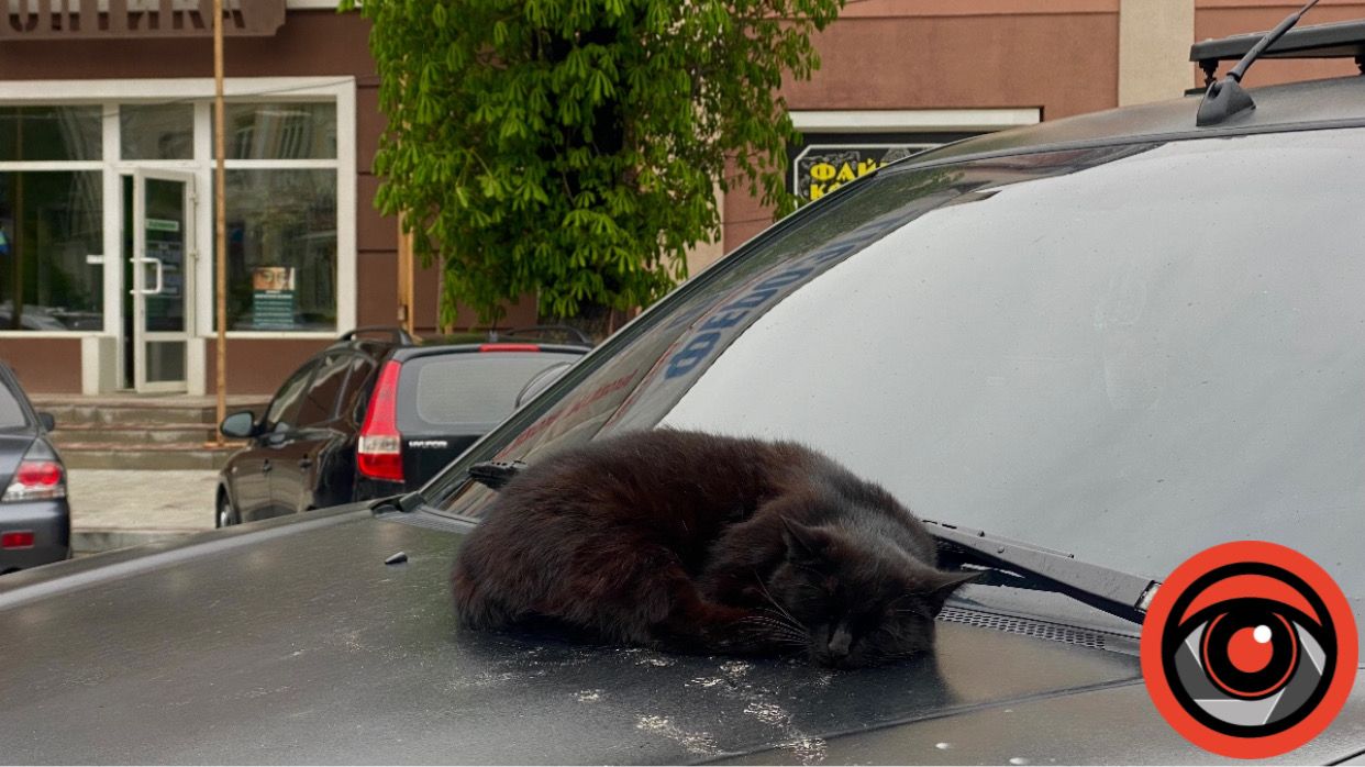 Місто у передгір'ї Карпат | Прогулянка вулицями Надвірної 4