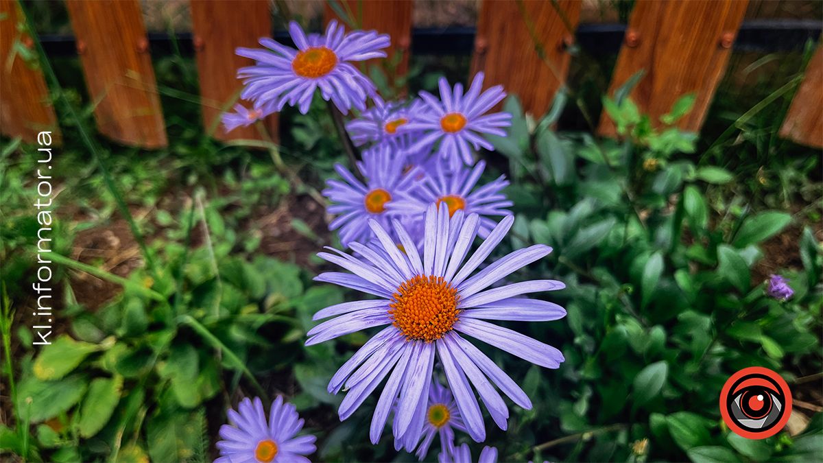 Гірські панорами Микуличина: фоторепортаж 10