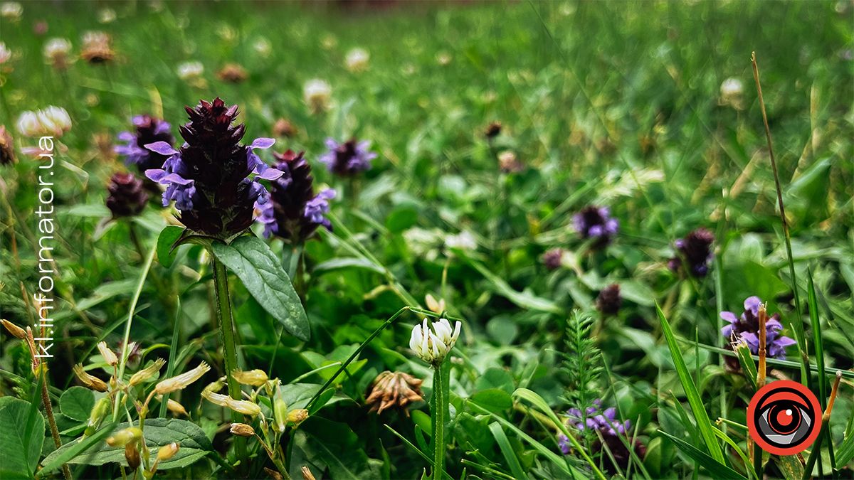 Гірські панорами Микуличина: фоторепортаж 11