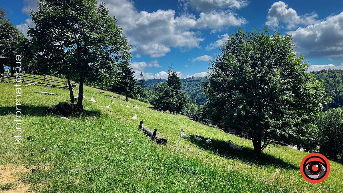 Гірські панорами Микуличина: фоторепортаж 2