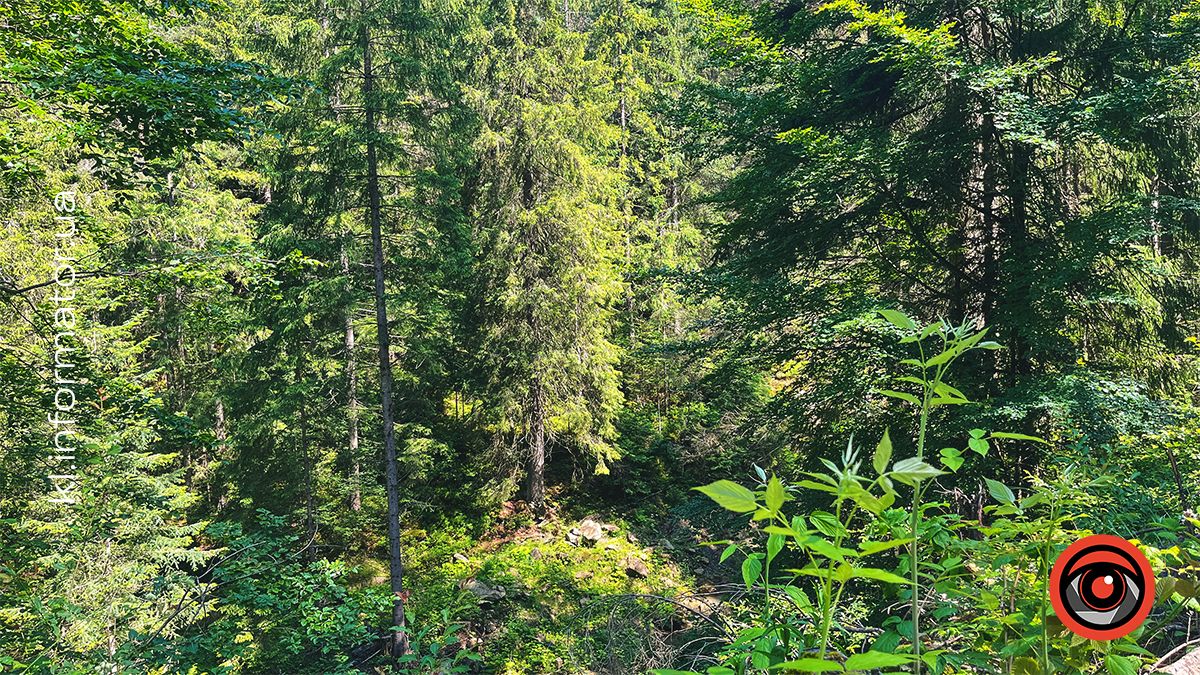 Гірські панорами Микуличина: фоторепортаж 7