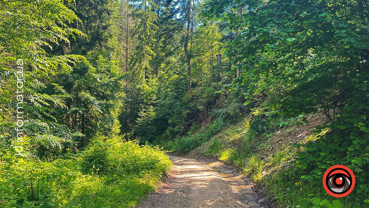 Гірські панорами Микуличина: фоторепортаж 8