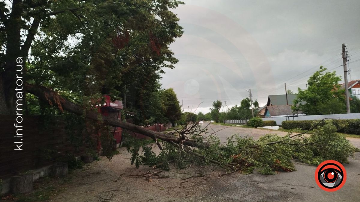 У Коломиї вирує негода | Фото 2