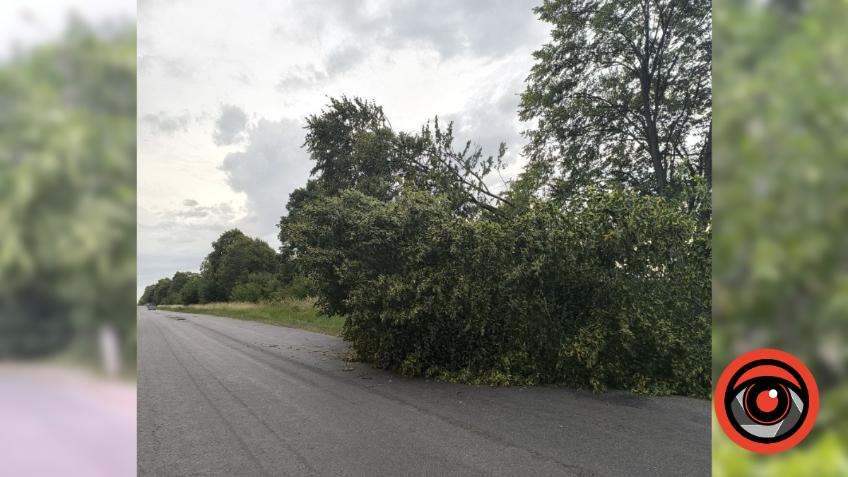 Наслідки негоди у Коломийському районі. Що відомо? ОНОВЛЮЄТЬСЯ 1