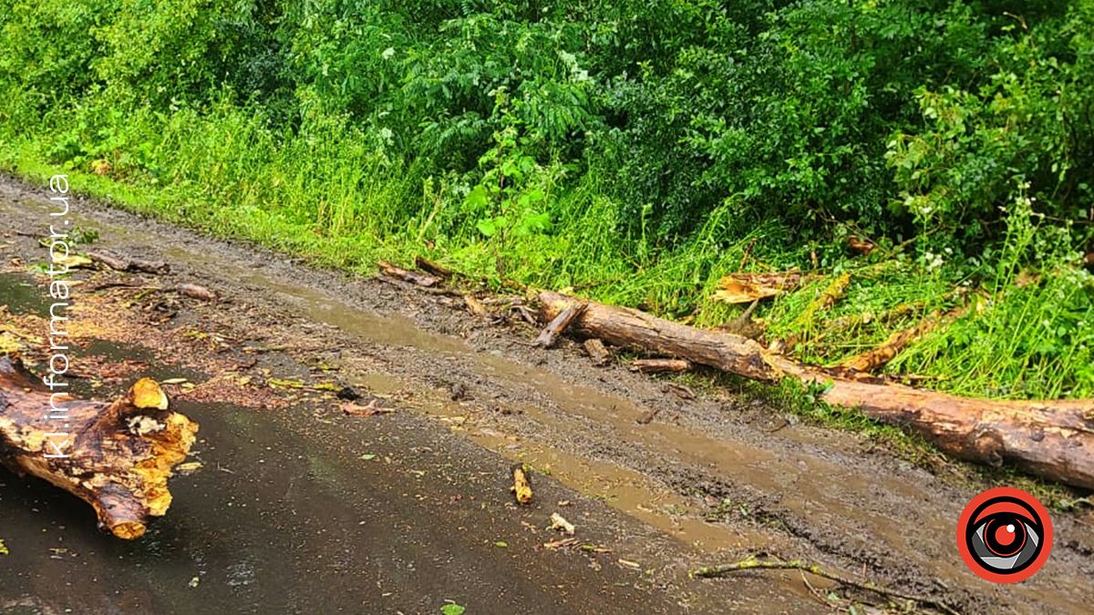 Наслідки негоди у Коломийському районі. Що відомо? ОНОВЛЮЄТЬСЯ 3