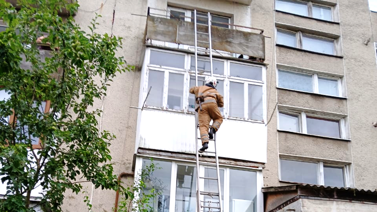 У Городенці рятувальники надали допомогу котику, який застряг на балконі багатоповерхівки 1