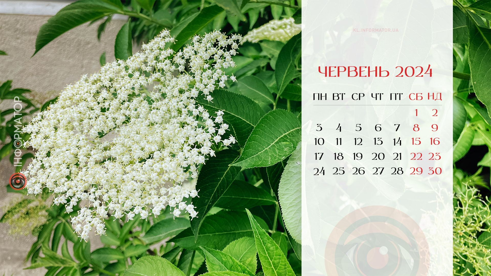 Календар на червень-2024 від Інформатора 5