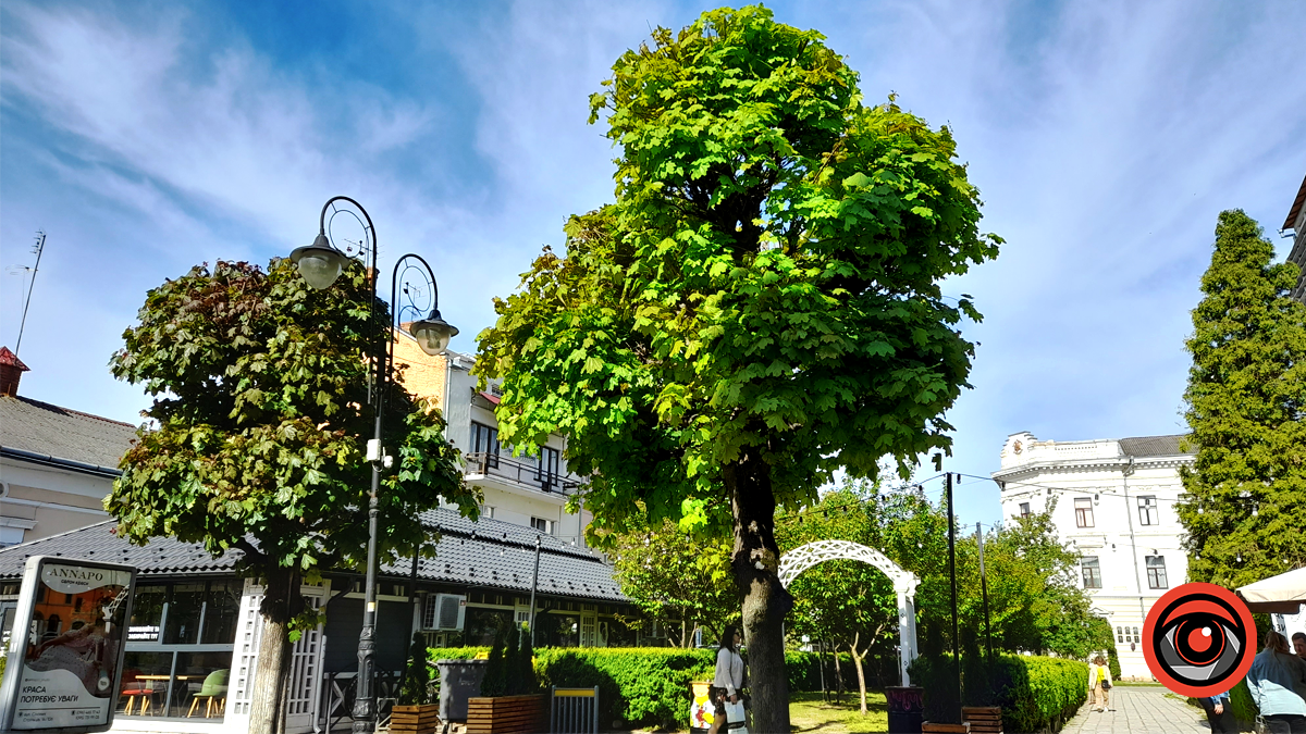 Писанкова у зелені та квітах | Фоторепортаж з травня 2024 12