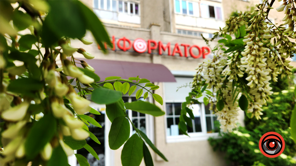 Писанкова у зелені та квітах | Фоторепортаж з травня 2024 6