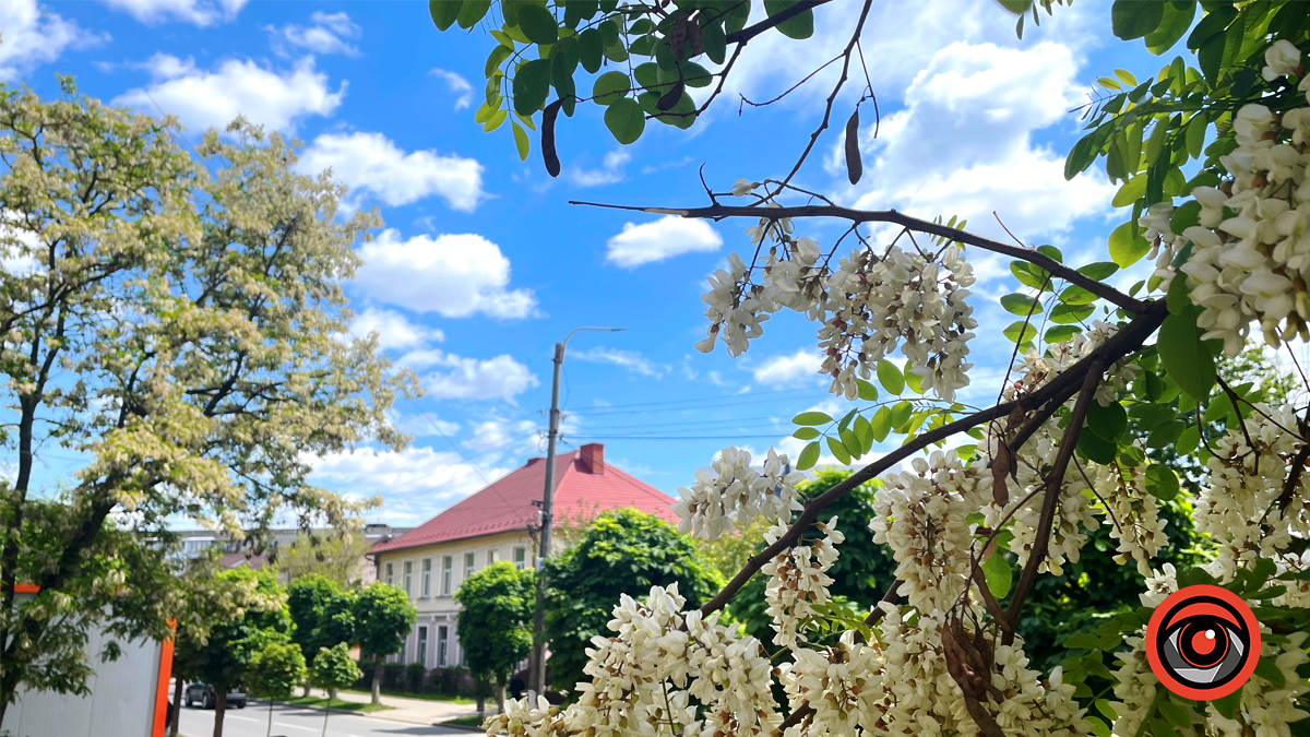 Писанкова у зелені та квітах | Фоторепортаж з травня 2024 3