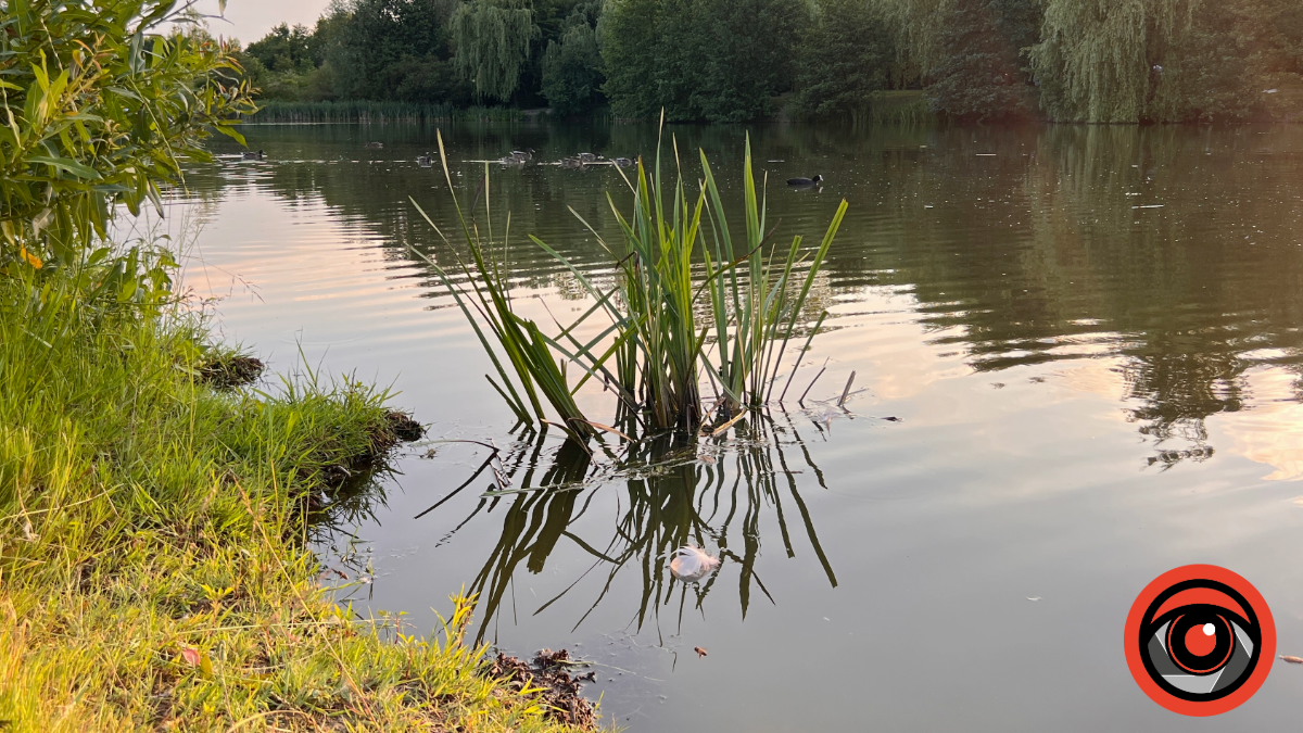 У Городенці двічі виявили незаконний вилов риби та раків