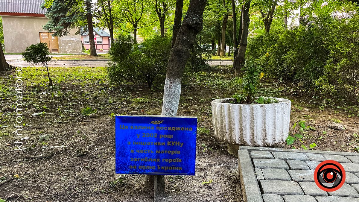 Калина, висаджена 2002 року