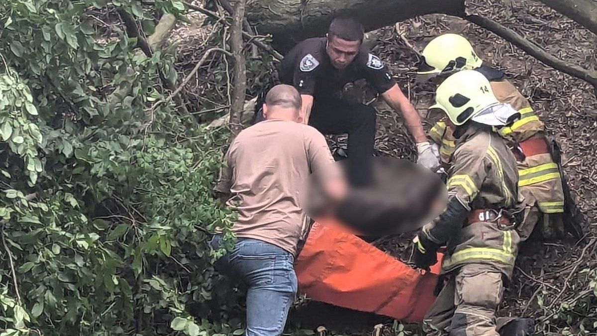 На Косівщині дерево впало на чоловіка, він загинув