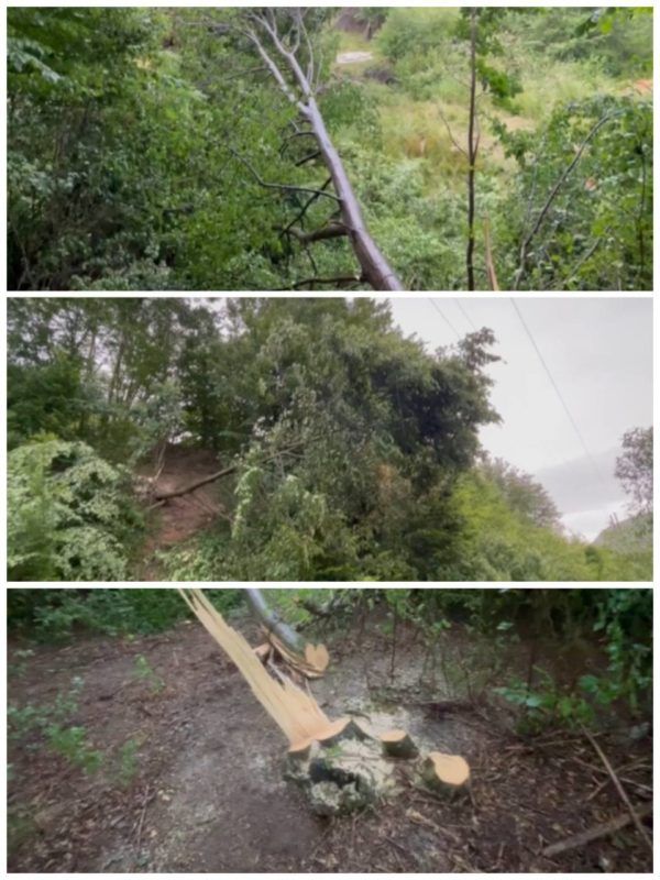 Прикарпаттяобленерго розповіло деталі трагічної смерті чоловіка на Косівщині 2