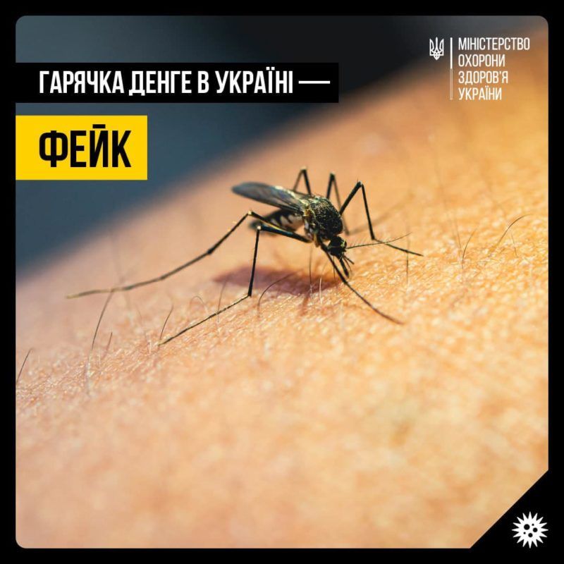 В мережі поширюється фейк про розповсюдження гарячки Денге в Україні - МОЗ 1