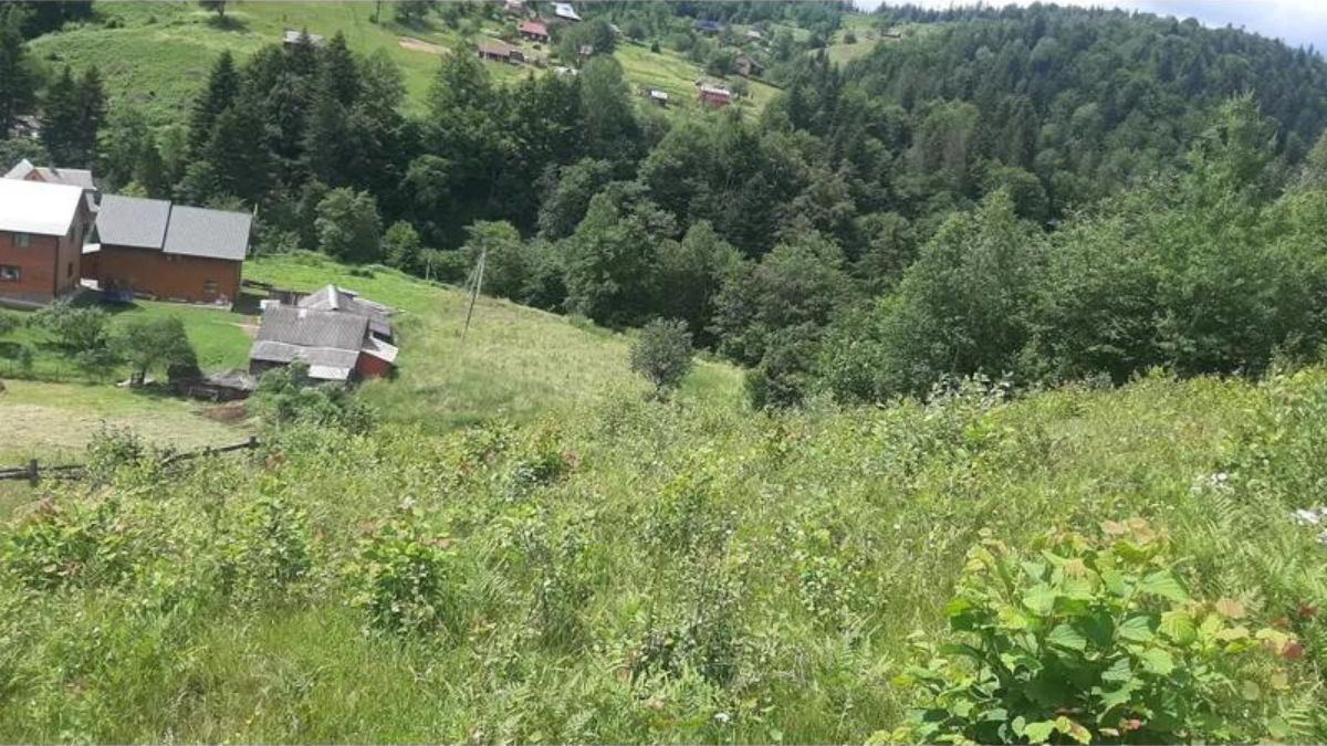 У Яремче продають з аукціону арештовану землю по 440 грн за м² 1