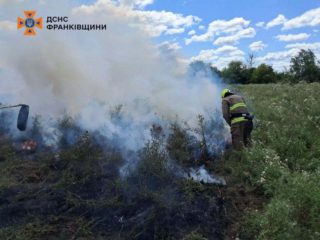 Від початку року на Прикарпатті зафіксували майже 1000 пожеж в екосистемах 1