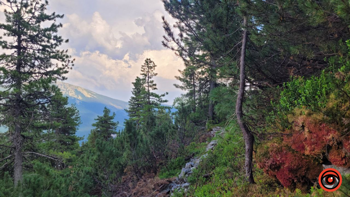 Горганські пейзажі: краса і дикий шарм Карпат 6