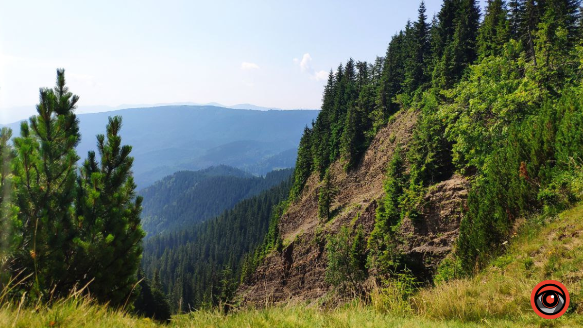 Горганські пейзажі: краса і дикий шарм Карпат 8