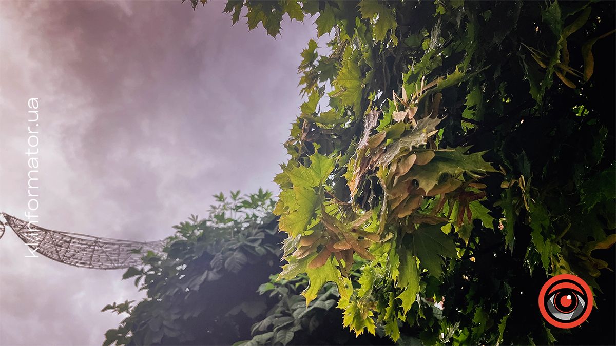 Якою була Коломия в червні 2024 | Фоторепортаж 6