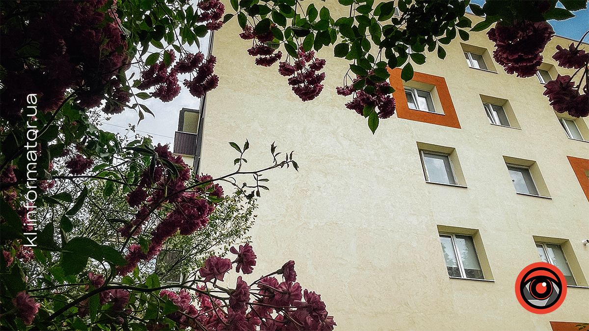 Якою була Коломия в червні 2024 | Фоторепортаж 4