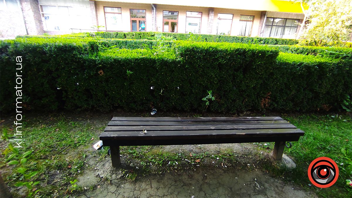 Де пили - там лишили. Коломияни влаштували сміттярку у самшитовому скверику 5