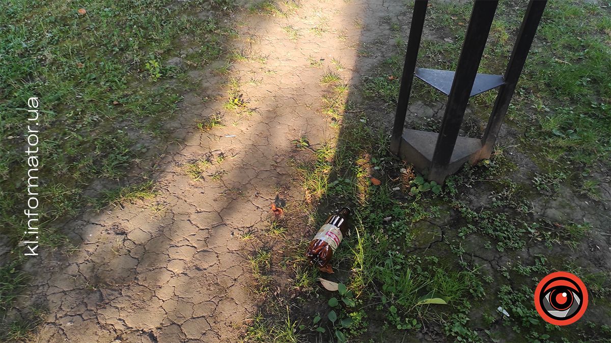 Де пили - там лишили. Коломияни влаштували сміттярку у самшитовому скверику 4