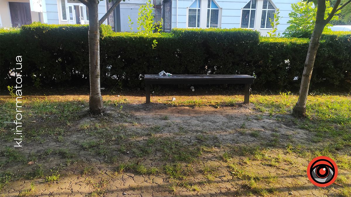 Де пили - там лишили. Коломияни влаштували сміттярку у самшитовому скверику 2