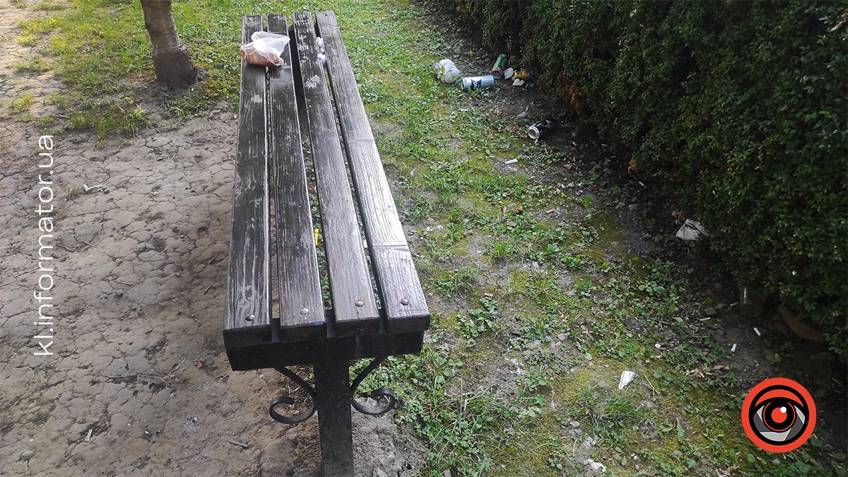 Де пили - там лишили. Коломияни влаштували сміттярку у самшитовому скверику 1