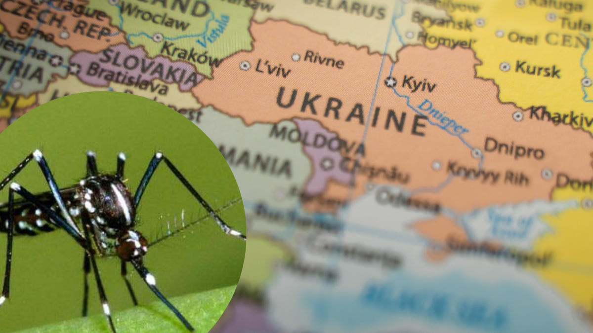 В мережі поширюється фейк про розповсюдження гарячки Денге в Україні - МОЗ