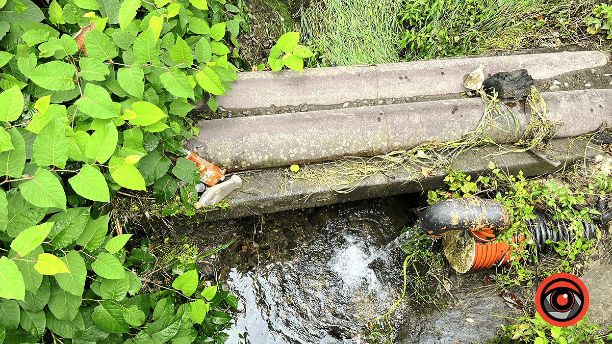 Пляшки, зламані гілки та побутове сміття: як виглядають річки Млинівка та Радилівка у Коломиї та що про це кажуть комунальники 1