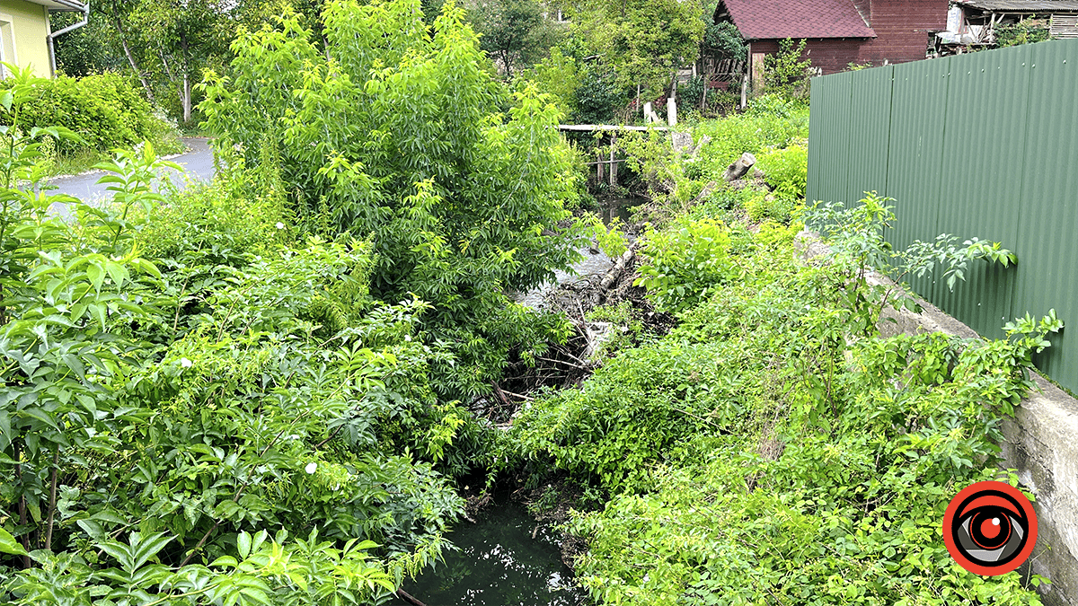 Пляшки, зламані гілки та побутове сміття: як виглядають річки Млинівка та Радилівка у Коломиї та що про це кажуть комунальники 3