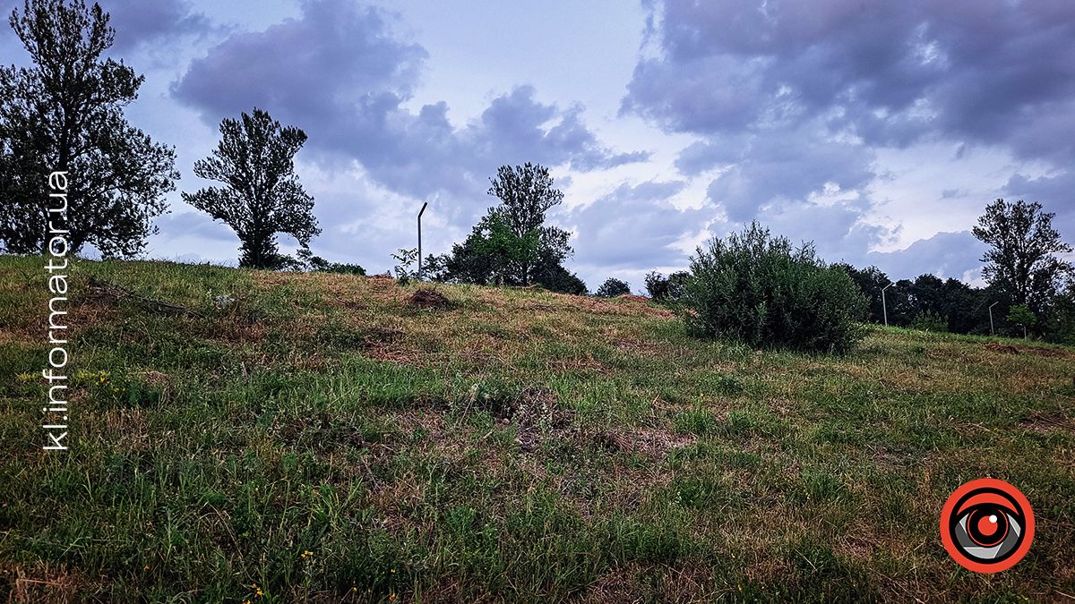 Ботанічна прогулянка літнім озером неподалік Шевченківського парку | Фоторепортаж 3