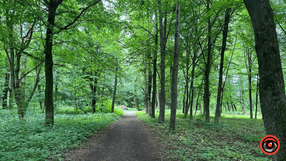 Вибір невеликий: 5 локацій, де можна побігати в Коломиї 5