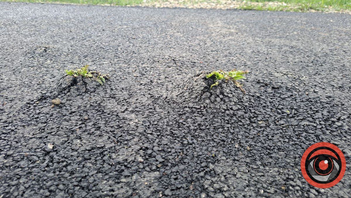 Кульбаби кладовище