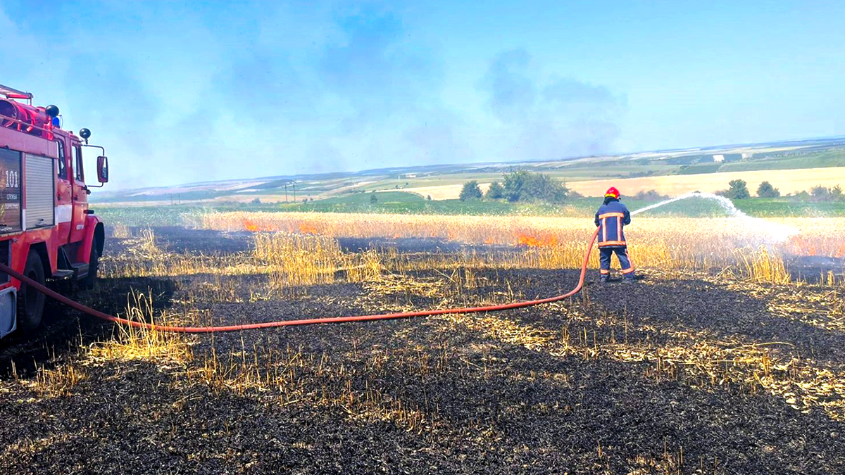 В Обертині спалахнула пожежа на полі пшениці 1