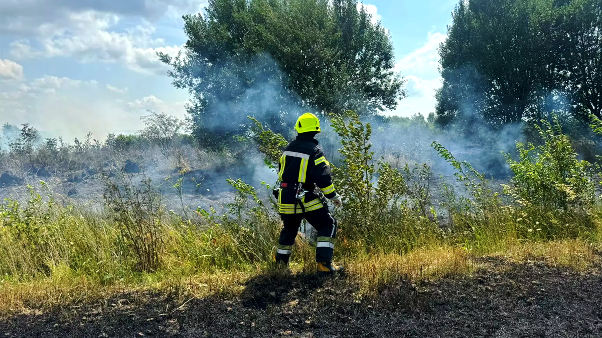18 липня рятувальники приборкали пожежі у Микуличині, Надвірній, Івано-Франківську та на Верховинщині 2